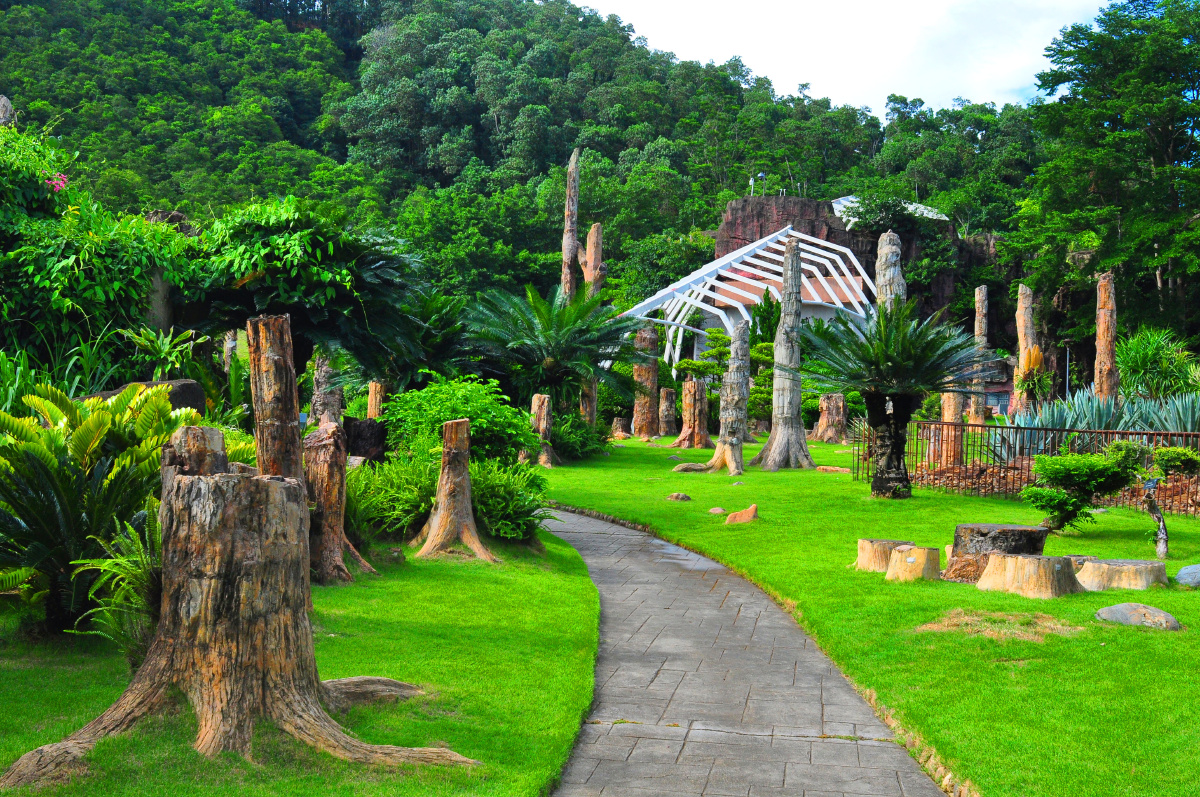 随拍深圳仙湖植物园