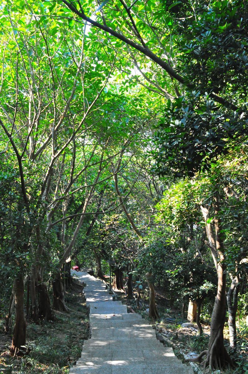 随拍城市公园深圳小南山公园