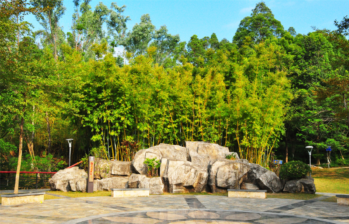 随拍城市公园深圳燕子岭生态公园