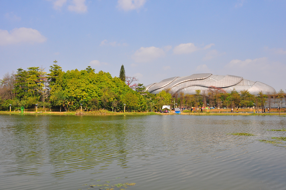 牛年新春广州大学城中心湖公园
