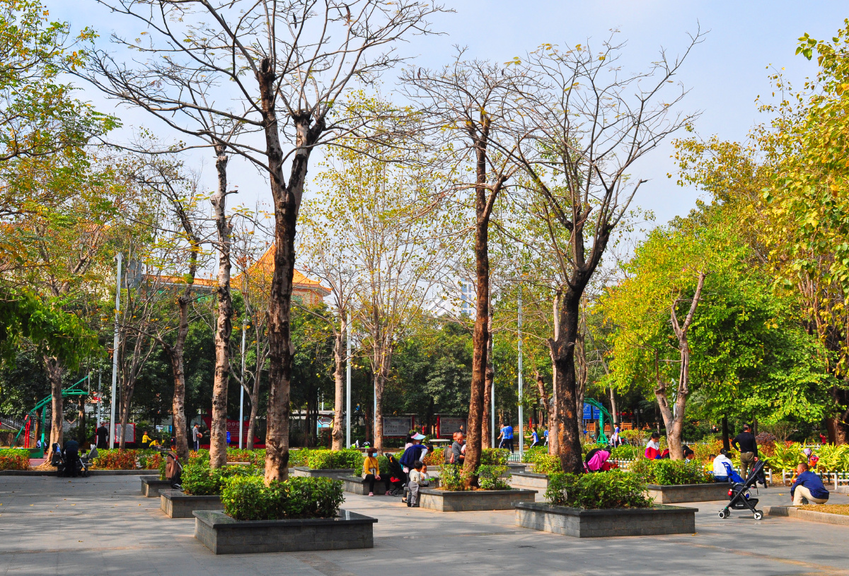 随拍城市公园深圳龙华公园