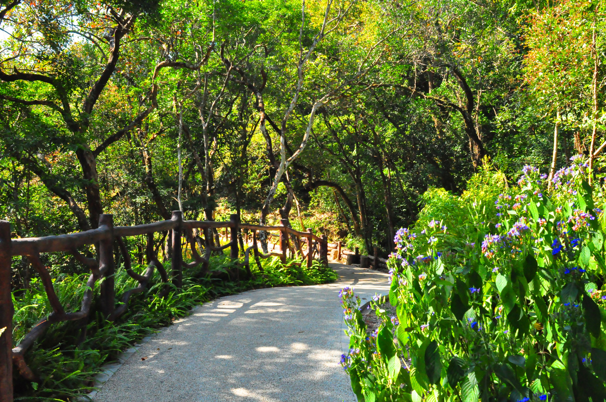 随拍深圳梧桐山森林公园 -- 恩上水库片区 - li804 - 图虫