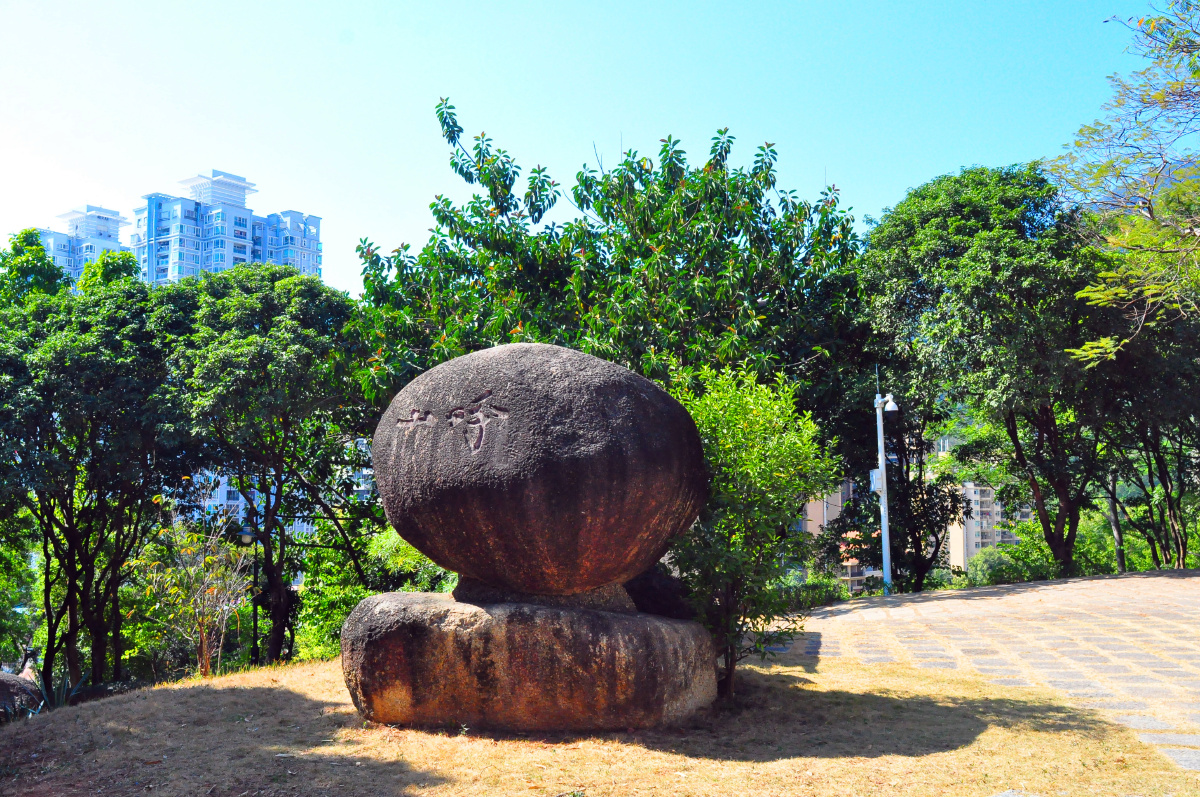 随拍公园深圳盐田海山公园