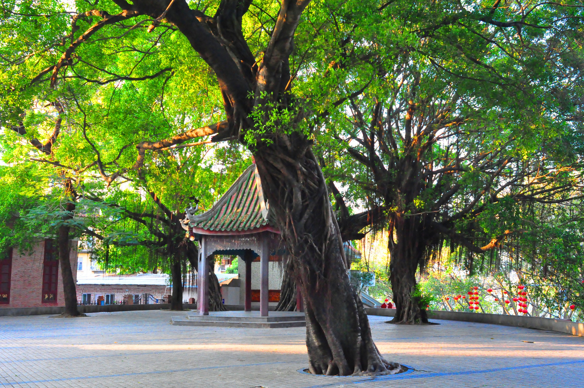 随拍城市公园惠州中山公园