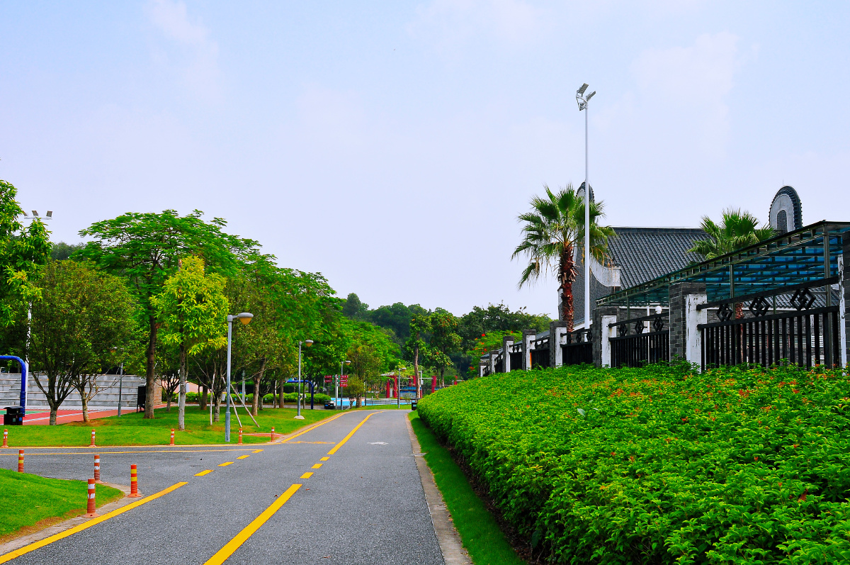 随拍公园佛山顺德天湖森林公园