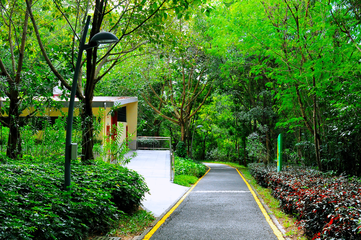随拍深圳大运公园神仙湖