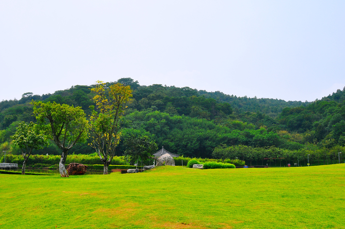 随拍公园佛山顺德天湖森林公园