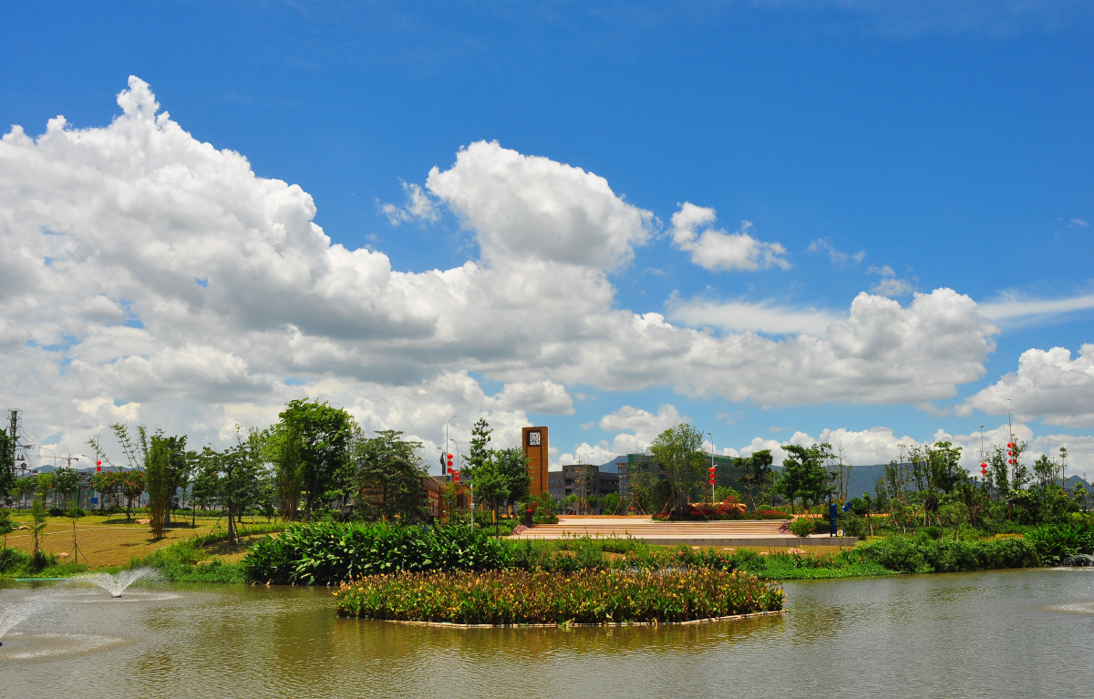 东莞 银山湿地公园 的盛夏