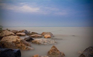 IMG_4496.jpg