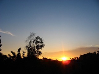 IMG_1278