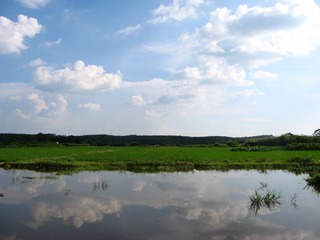 IMG_1228