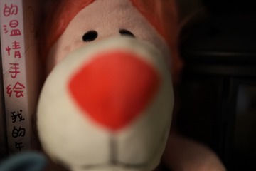 556957
