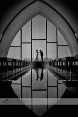 _BYX8193 1