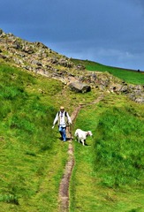 DSC_0749.jpg