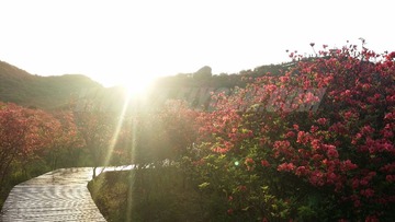 20140507_055939