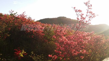 20140507_061842