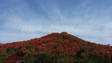 20140507_092542