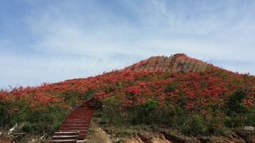 20140507_092547