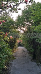 20140507_183700_Richtone(HDR)
