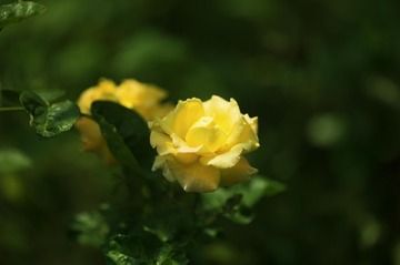 485582