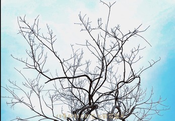 D7ED6832-1C0C-49BE-B151-8B60EE5CE921/L0/001