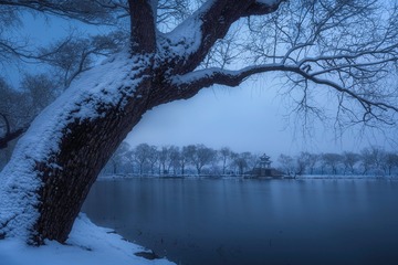 C17E0D22-5D9E-4D7B-9DA5-0EE1C1A19865/L0/001