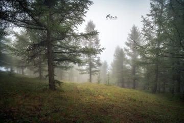6B0C5A4D-7903-4ECC-B0FD-D38482B6D492/L0/001