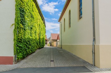 DSC_5003.jpg