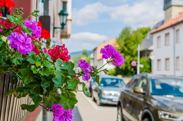 DSC_4996.jpg
