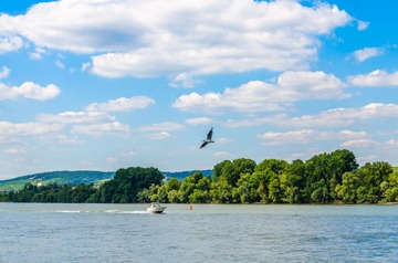 DSC_5043.jpg