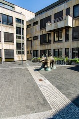 DSC_5175.jpg