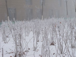 100_0787_副本.jpg