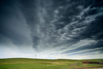 DSC_7555.jpg