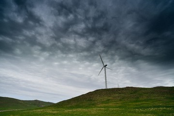 DSC_7573.jpg