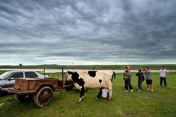 DSC_7606.jpg