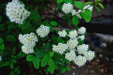 DSC_7635.jpg