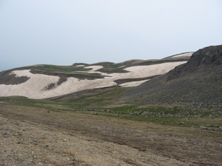 3604510