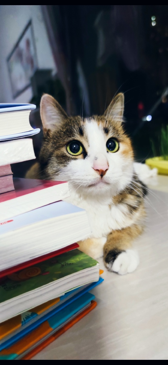 554_1200竖版 竖屏