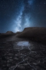 异星觉醒
