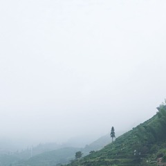 _IGP7522-900