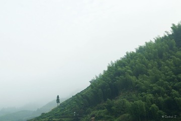_IGP7523-1000