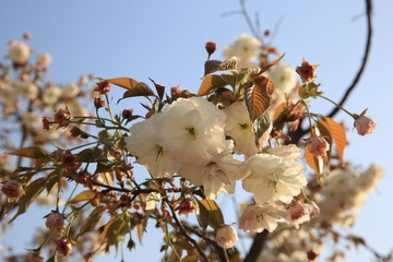 0N2A0839.JPG