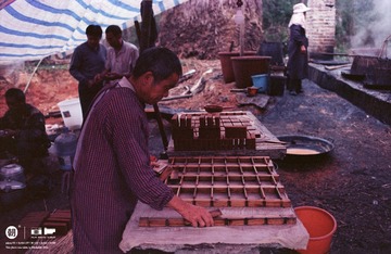 IMG031 (2)