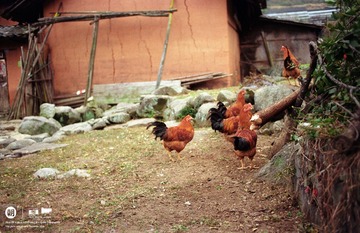 IMG015 (2)