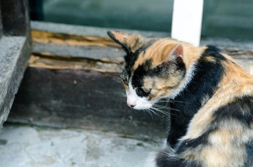 _DSC0502.jpg