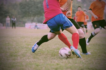 DSC_2700yf
