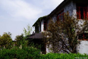 庭院