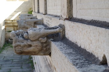 VWSJ0831