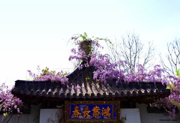 鸿案长春