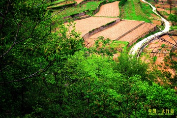 中国·太行山·梯田